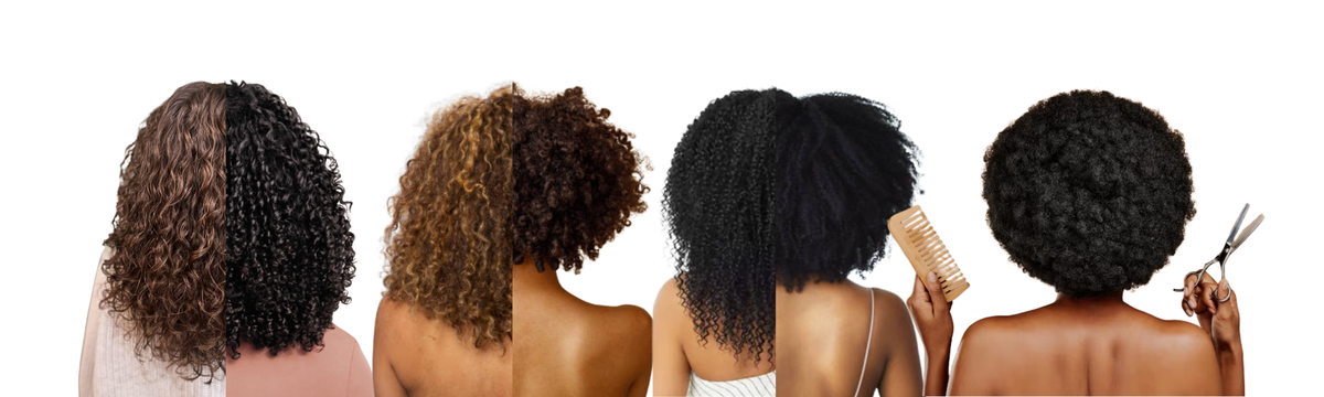 Quatre femmes de dos montrant des textures du bouclé au crépu serré