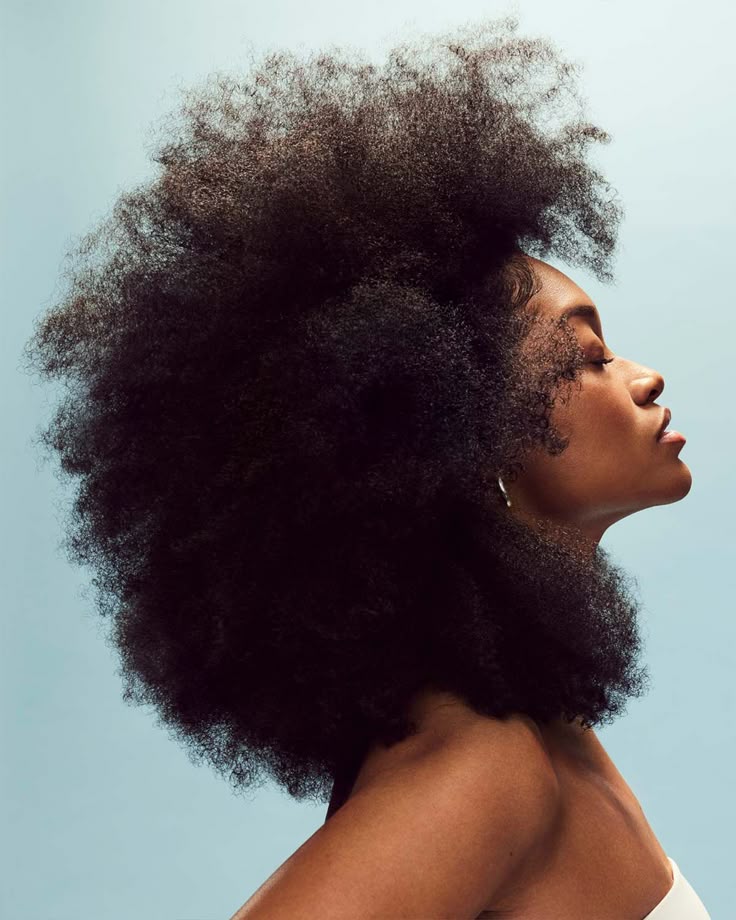 Coupes afro modernes : styles adaptés aux cheveux crépus pour salons professionnels