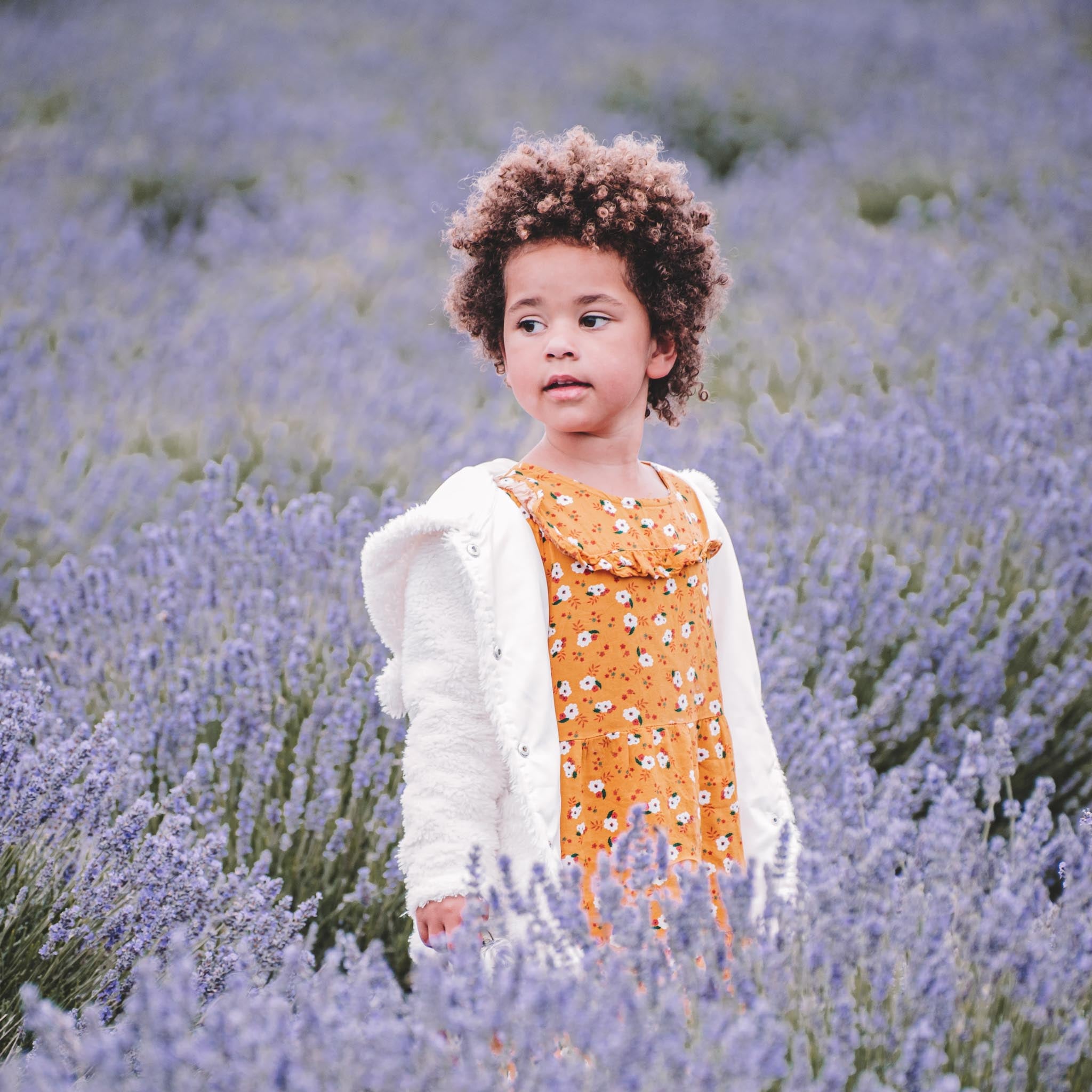 coiffure enfant cheveux crépus