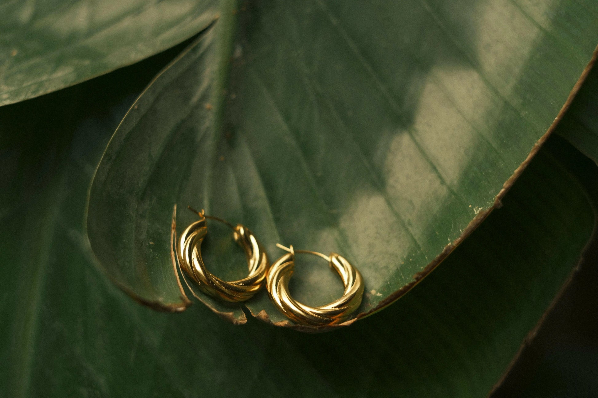 Créole dorées femme