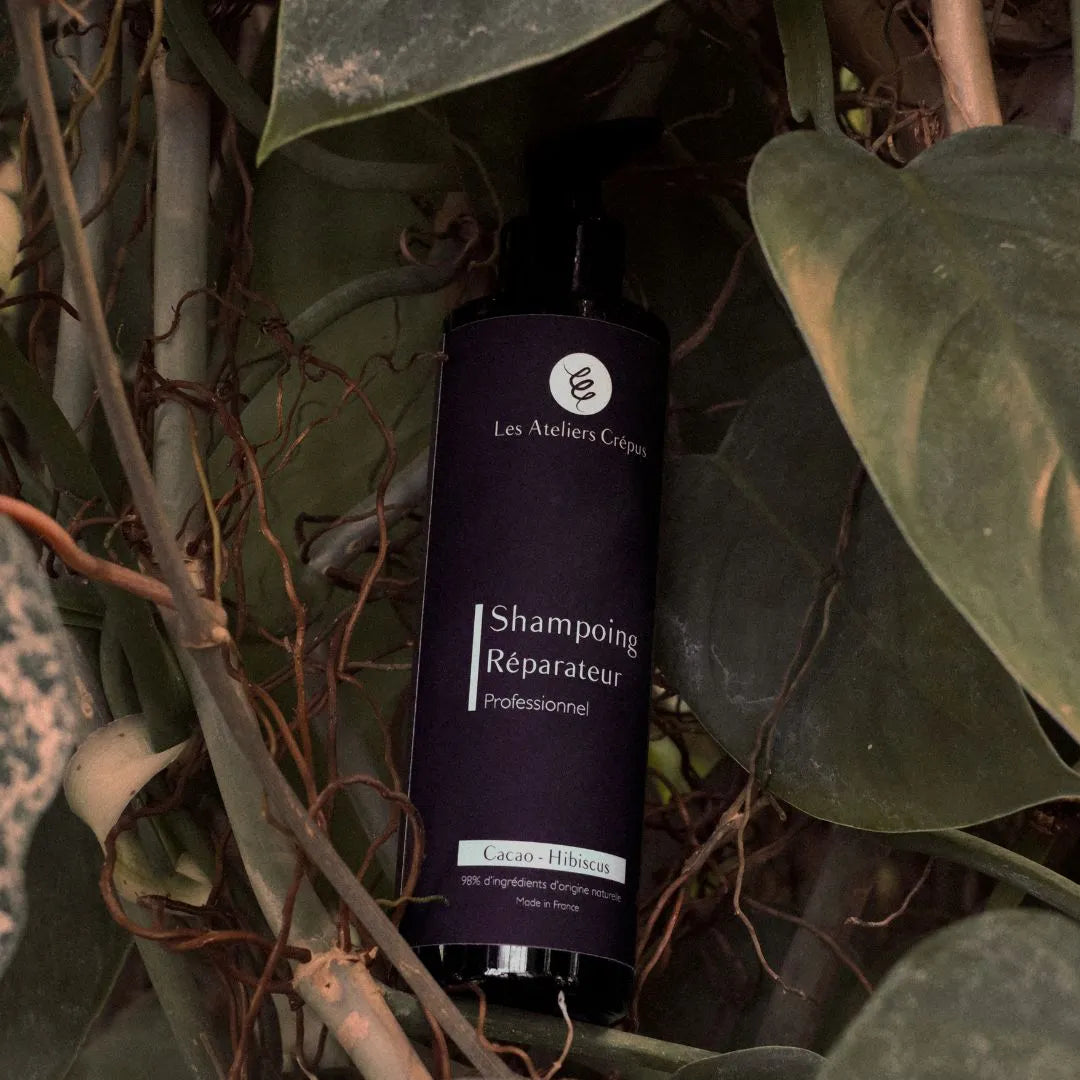 Shampoing cheveux crépus